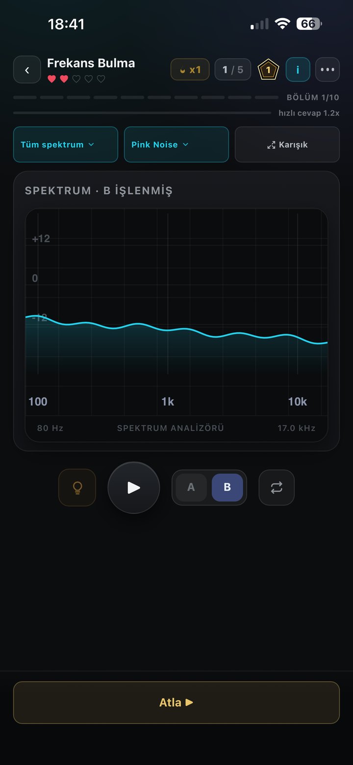 Frekans Bulma egzersizi