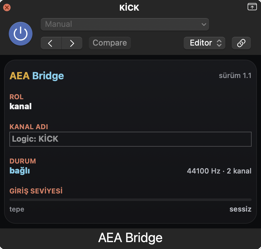 AEA Bridge eklentisi DAW'da